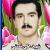 علی نعمتی.jpg